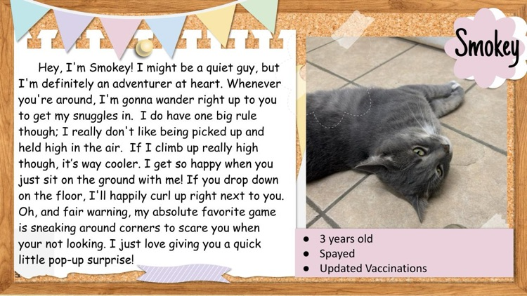 pet