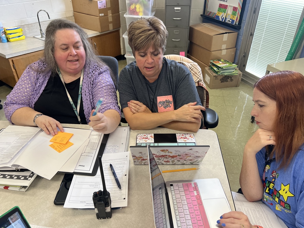Teachers in PLC