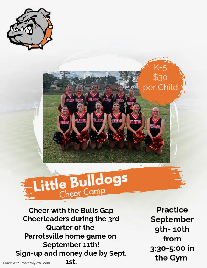 Little Bull Dogs Cheer Camp
