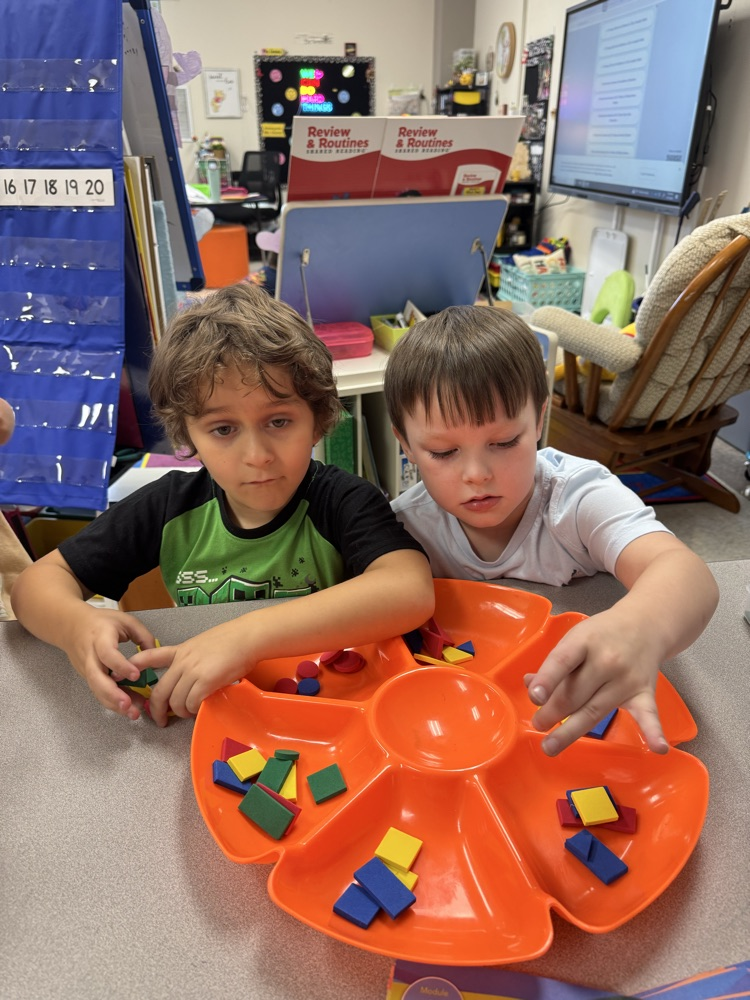 sorting shapes