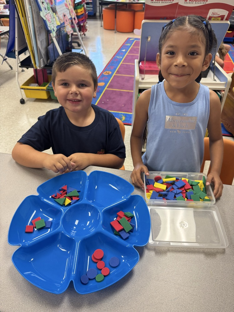 sorting shapes