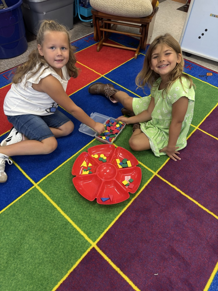 sorting shapes