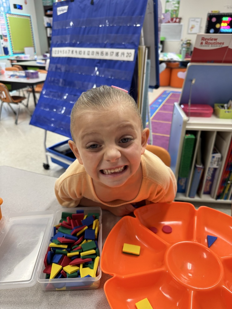 sorting shapes