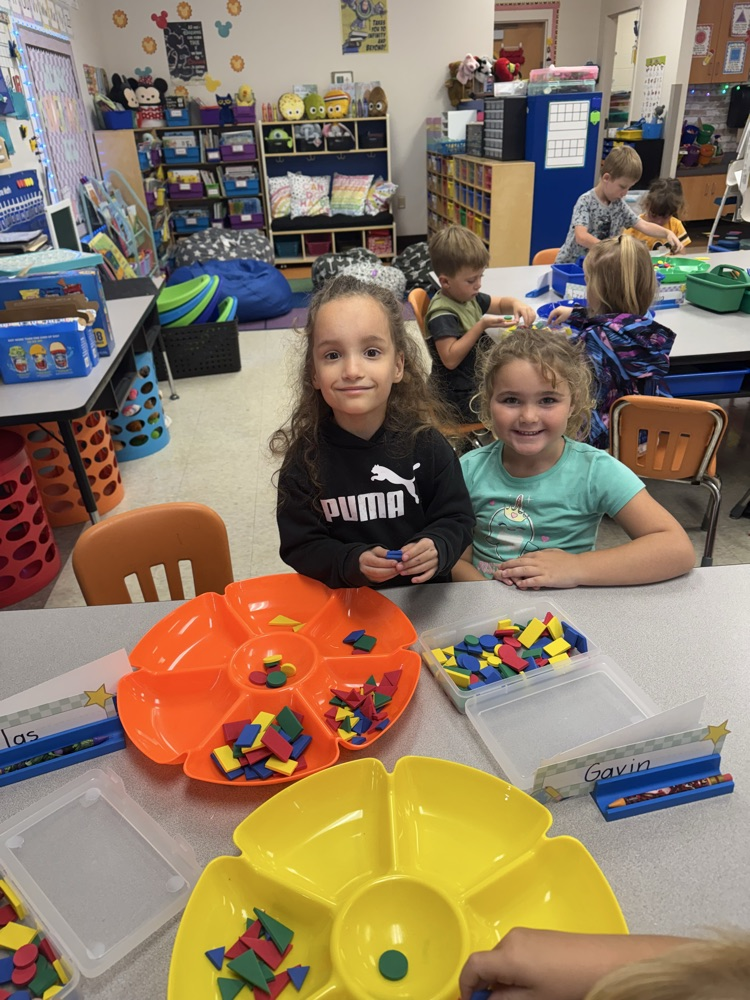 sorting shapes