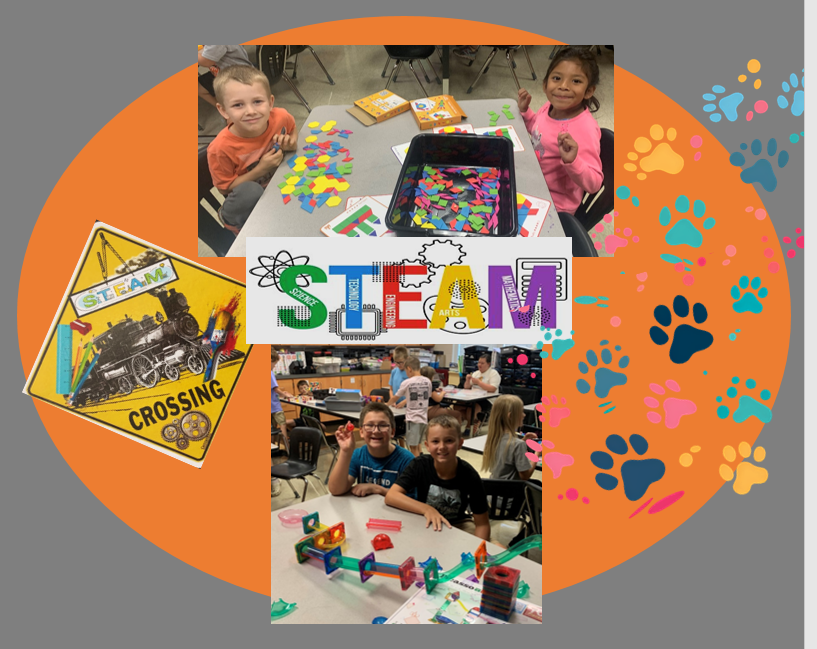 STEAM at BGS