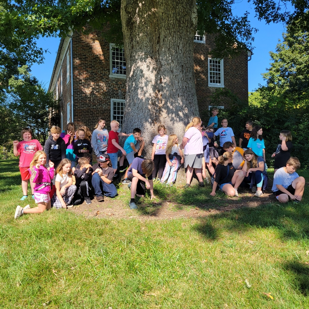 5th grade around a tree
