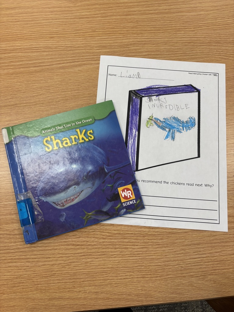 2nd Grade Book Recommendations