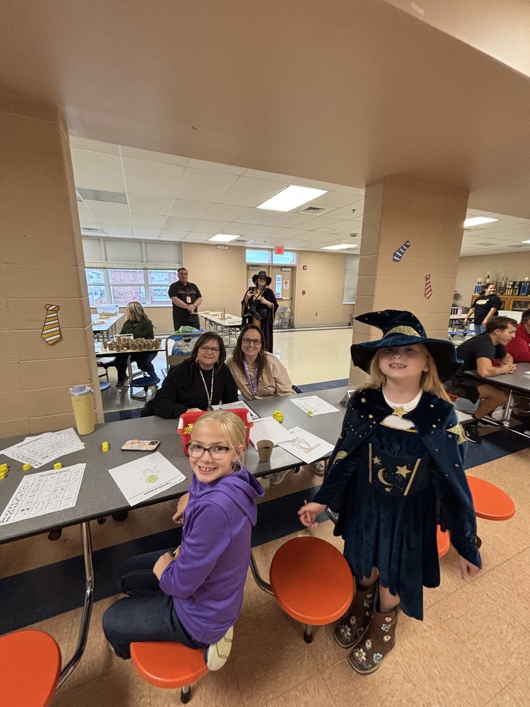 BGS STREAM Night 2025