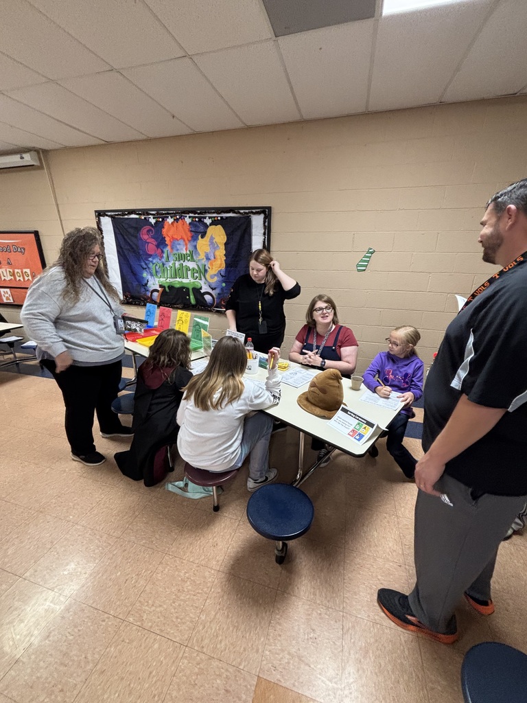 BGS STREAM Night 2025