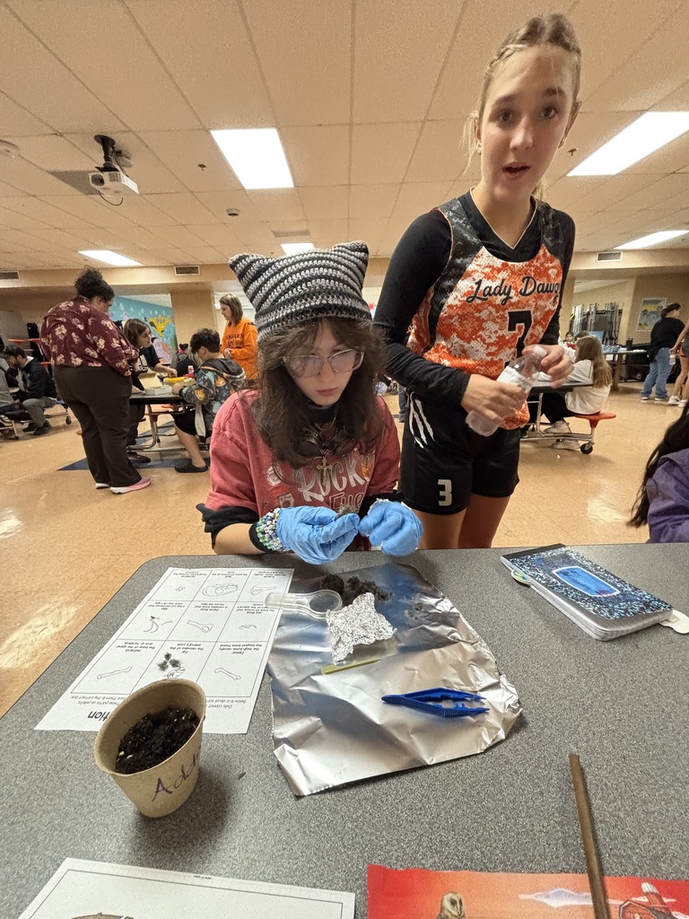 BGS STREAM Night 2025