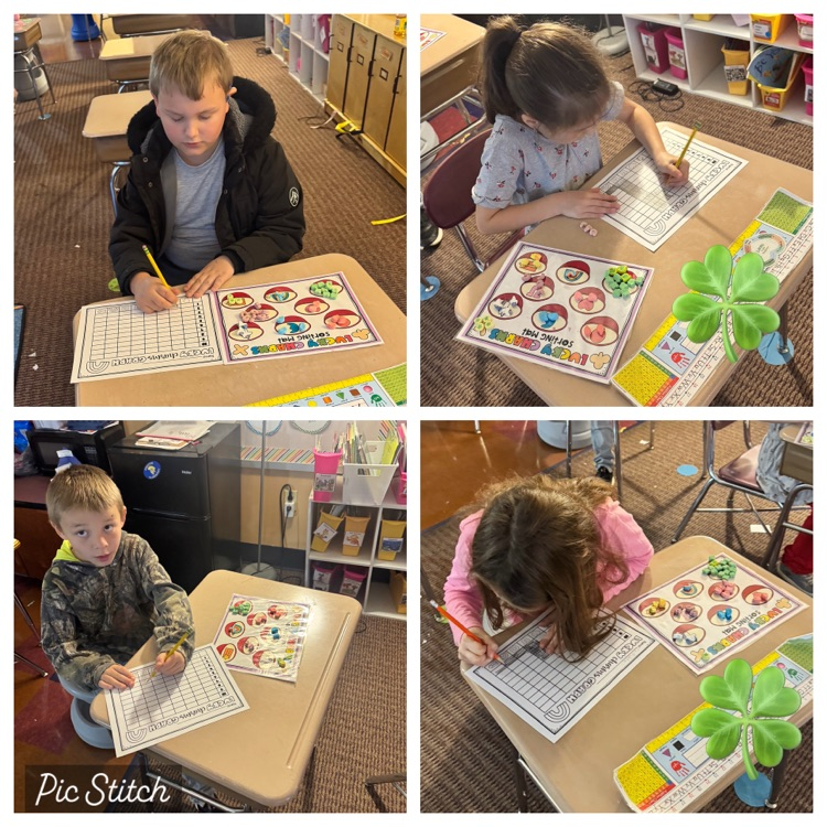 4 students sorting marshmallows at their desk  