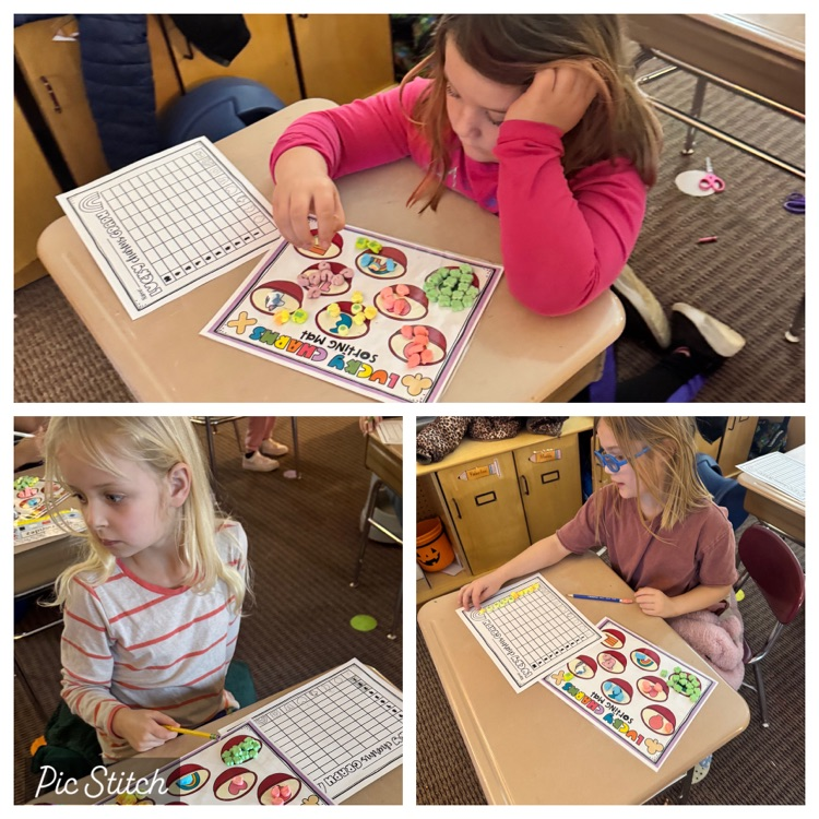 3 students sorting marshmallows at their desk. 