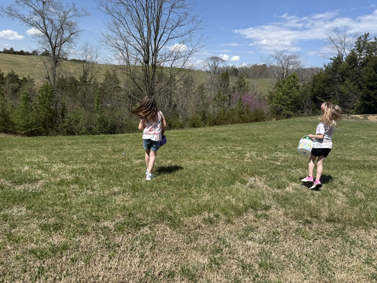 egg hunt