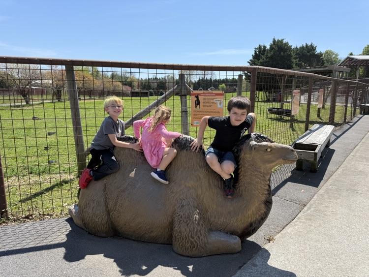 1st Grade at Brights Zoo