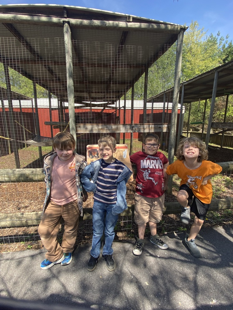 1st grade at Brights Zoo