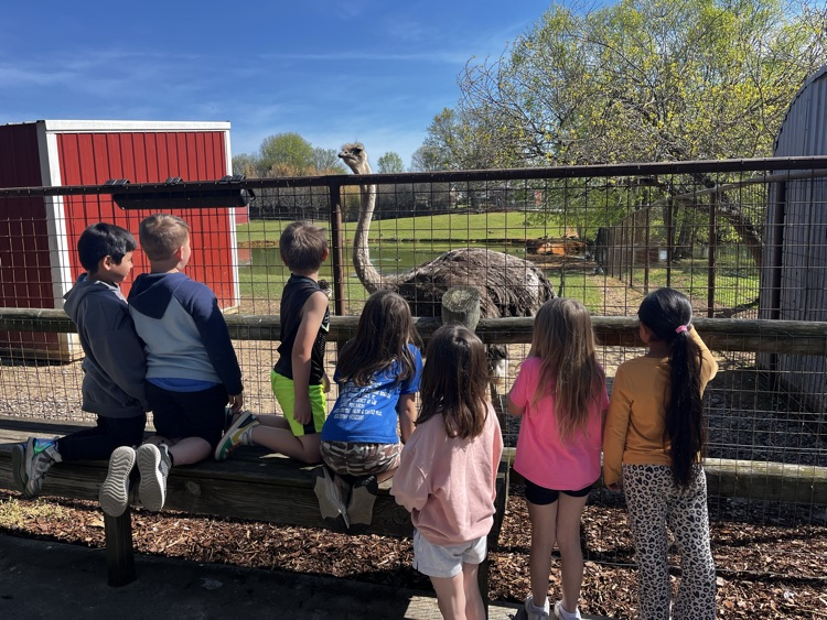1st Grade at Brights Zoo