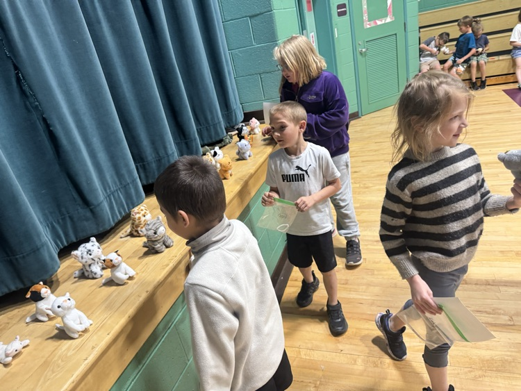 students looking at stuffed cats