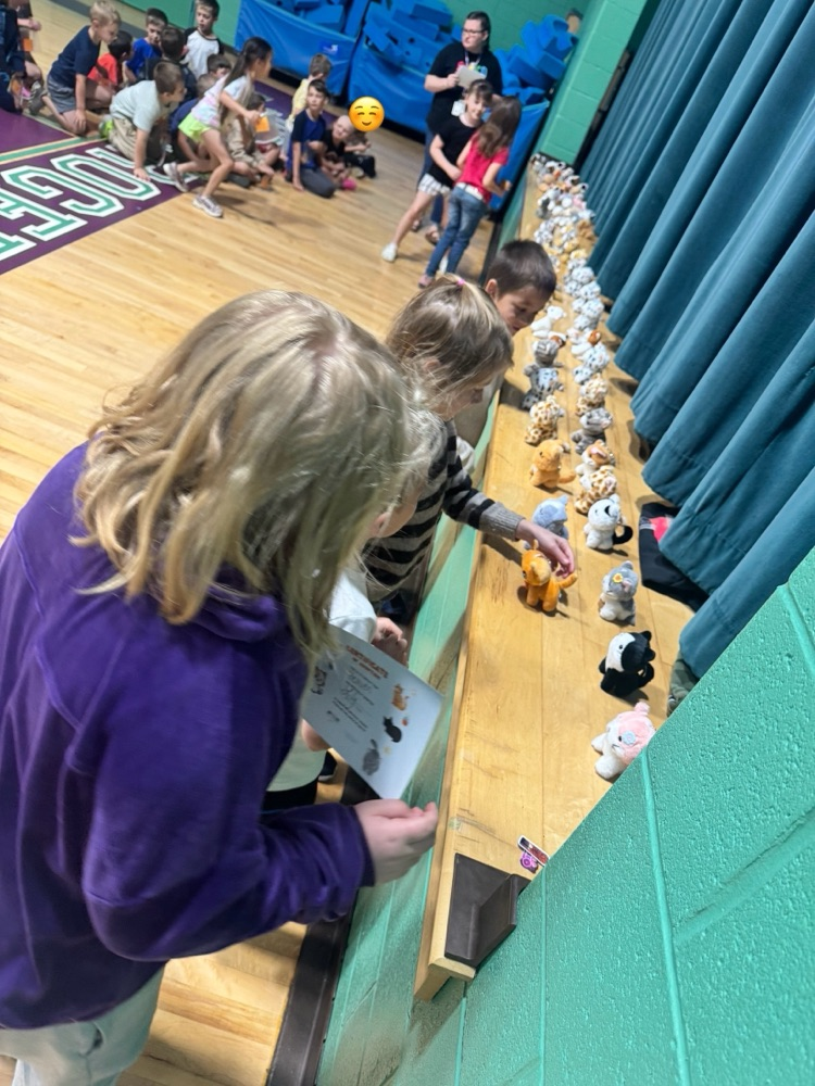 students looking at stuffed cats
