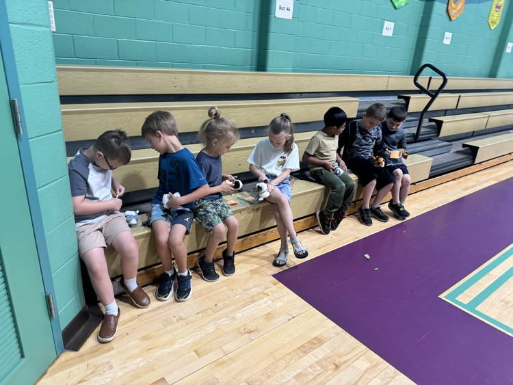 students putting collars on their stuffed dogs