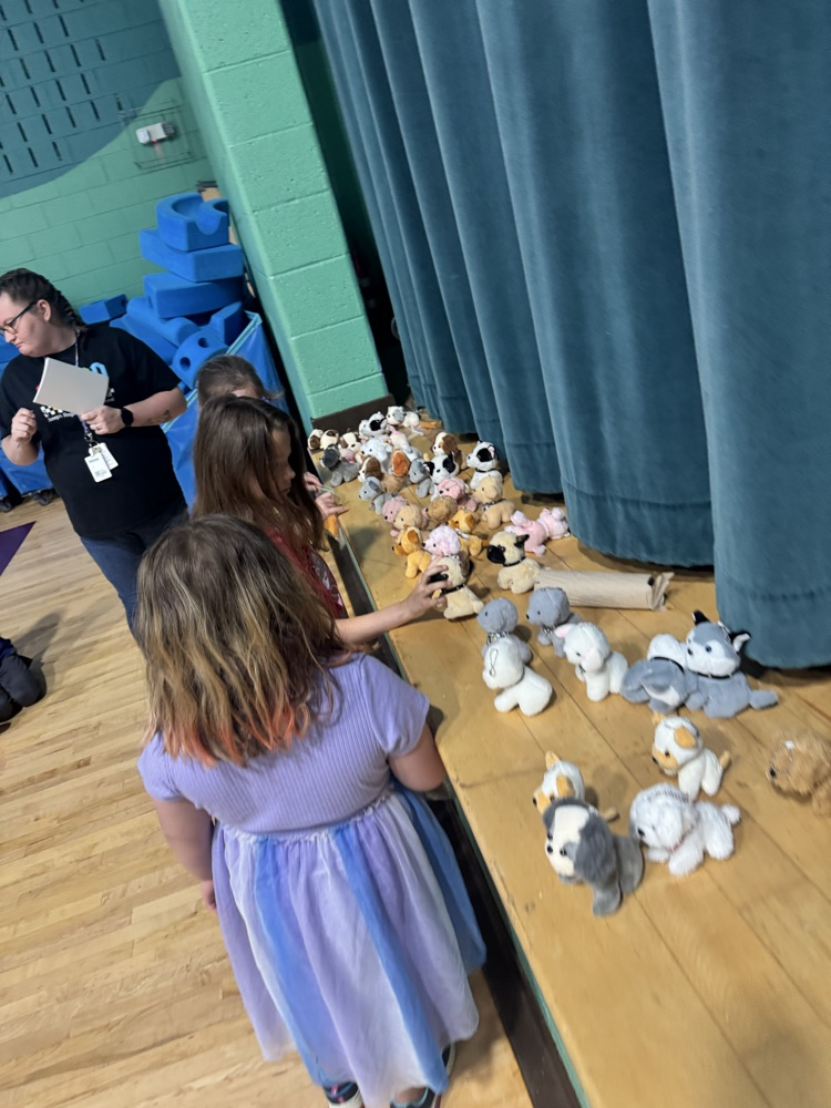 students looking at dogs