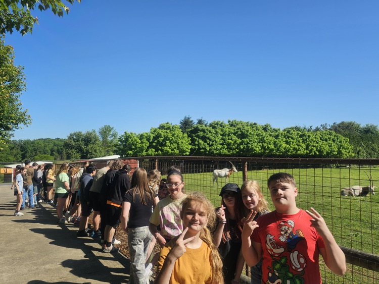 zoo