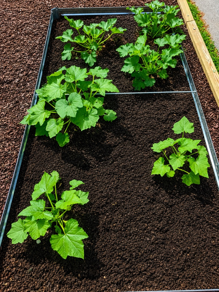 AG IN THE CLASSROOM 