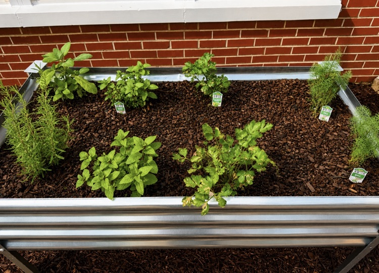 AG IN THE CLASSROOM 