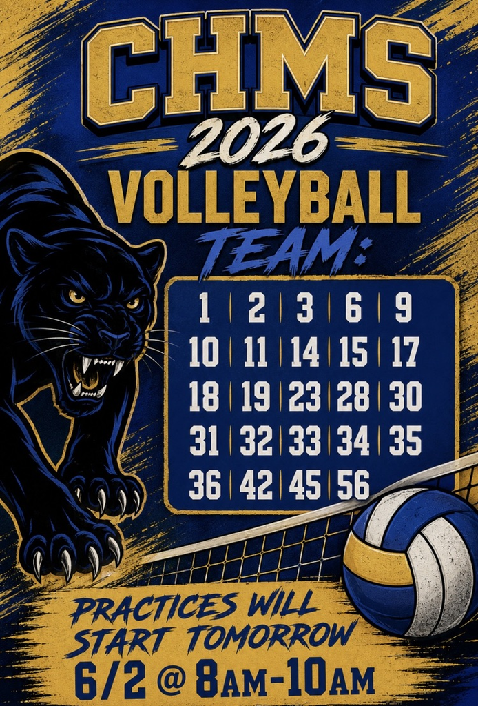 volleyball team