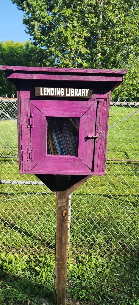 A purple box labeled "Lending Library" stands on a wooden post in a grassy area. Behind it is a chain-link fence and trees.