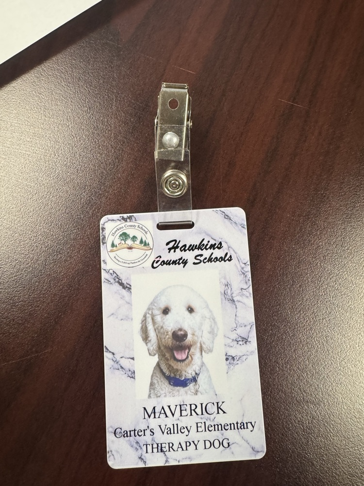 Maverick 