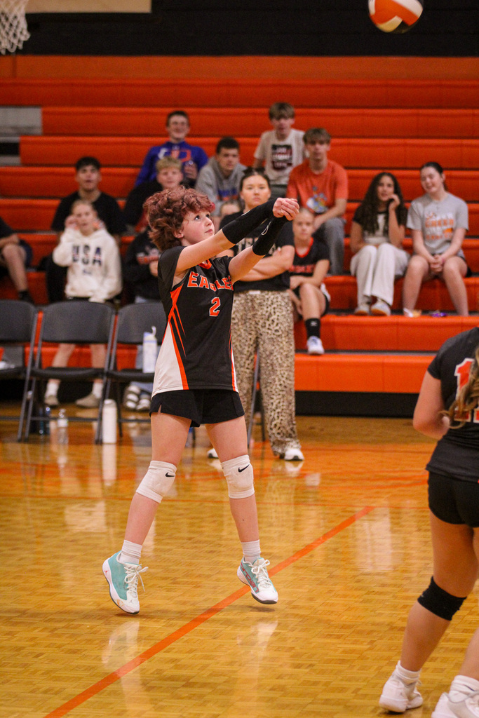 Player in black and white uniform with number 2 serves the volleyball on a court, opponent awaits.