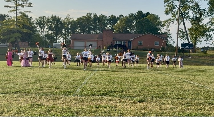 Little Bulldog Cheer Camp