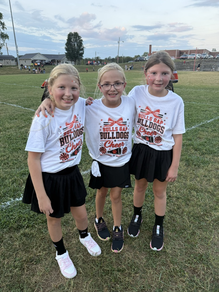 Little Bulldog Cheer Camp