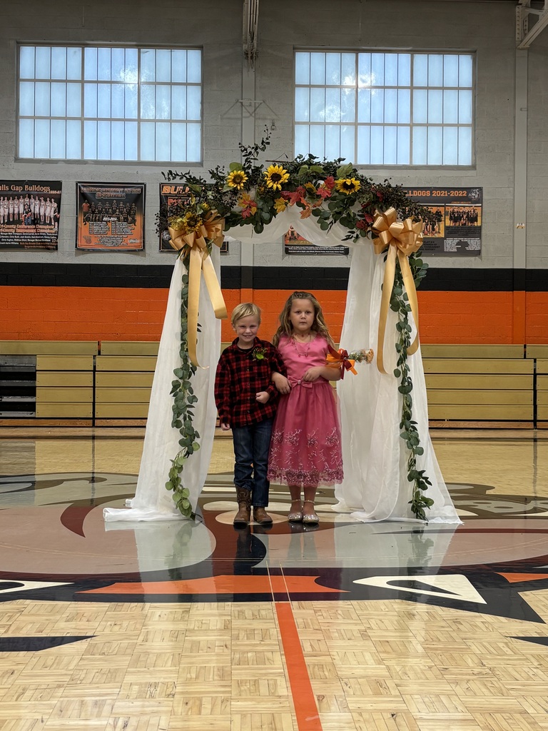 Fall Festival Court