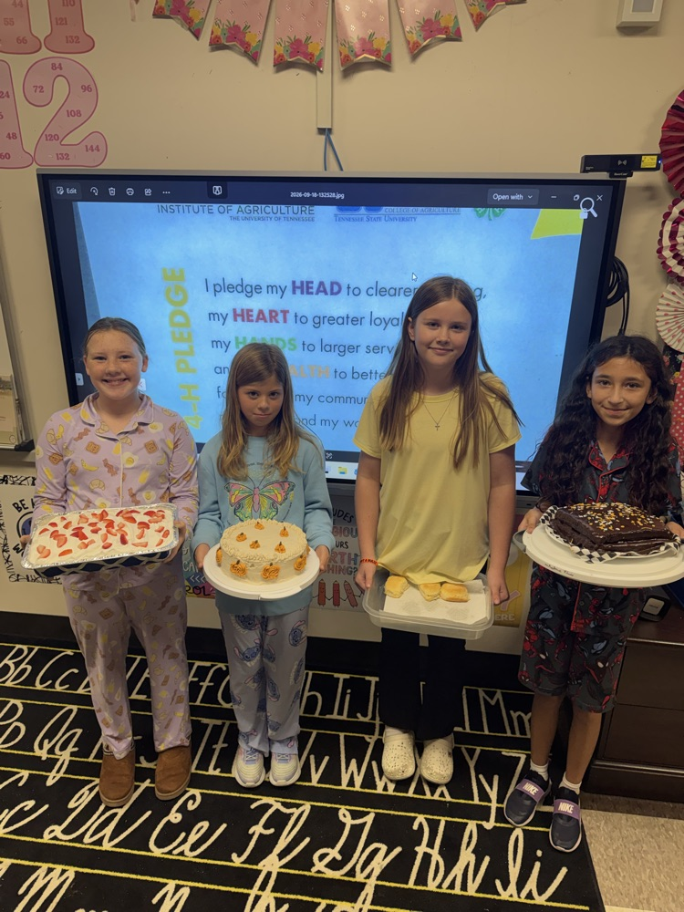4-H Cake and Biscuit Contest