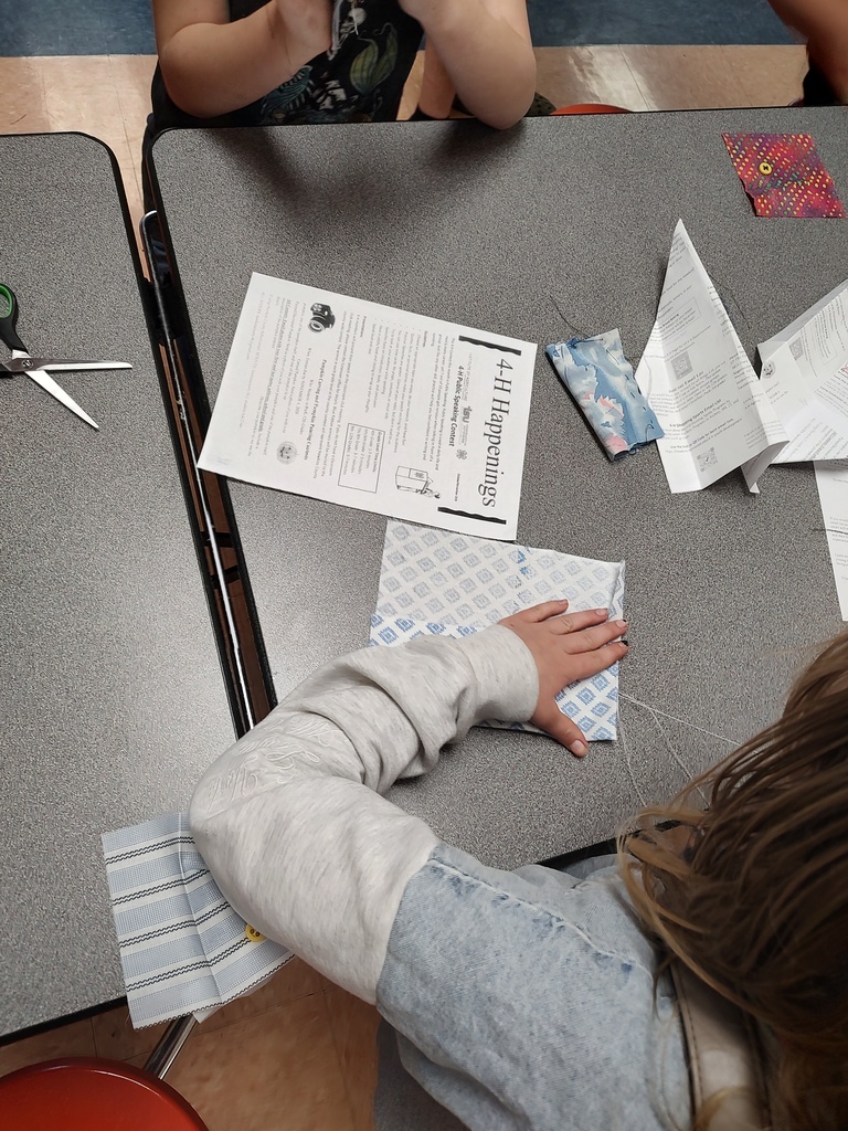 4-H Sewing
