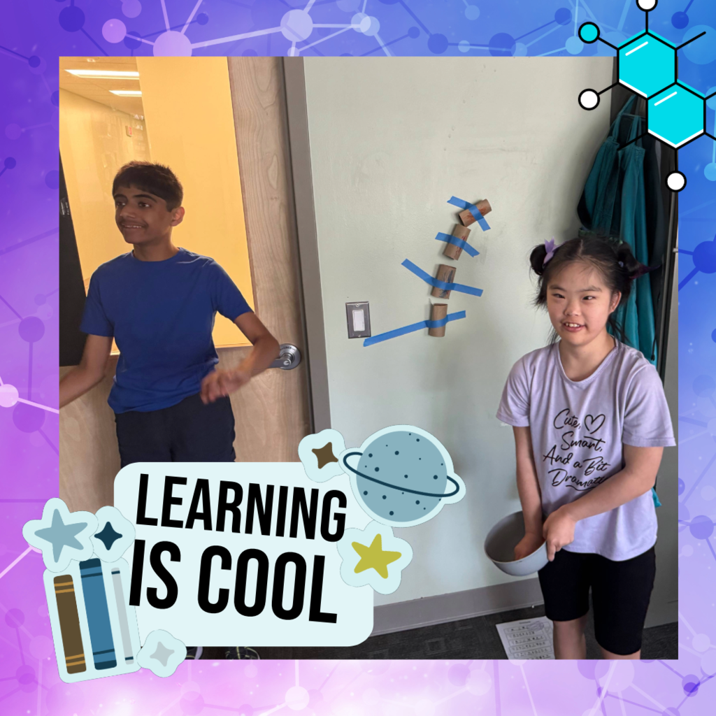 Science Project