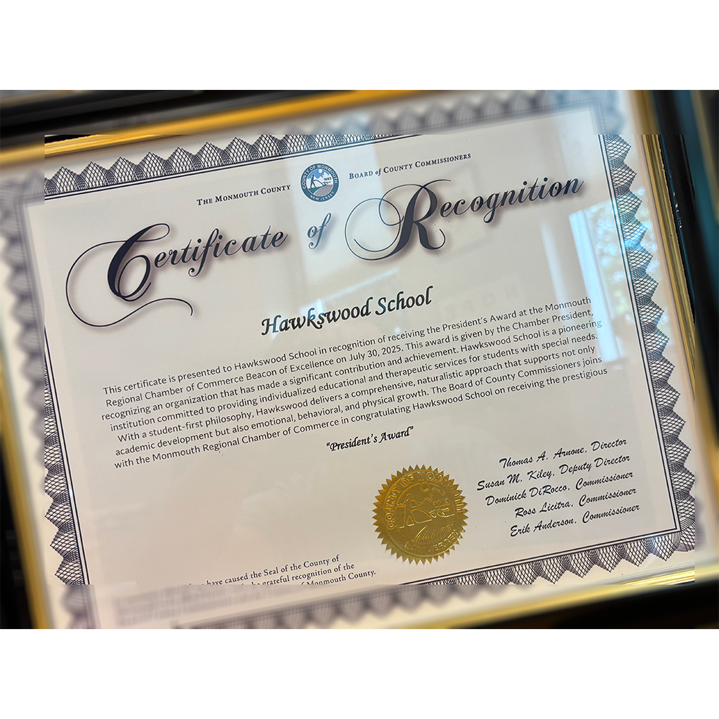 President's Award