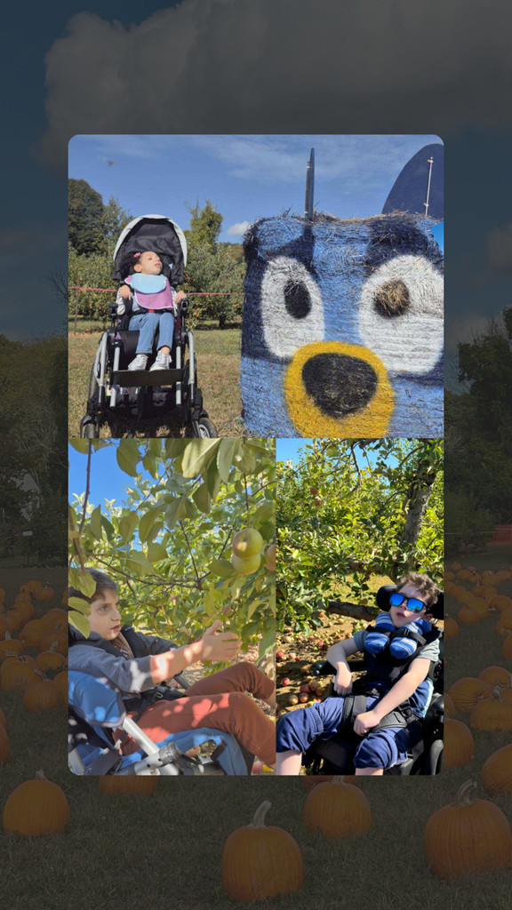 Season trip to a local farm! Pumpkin and apple picking.