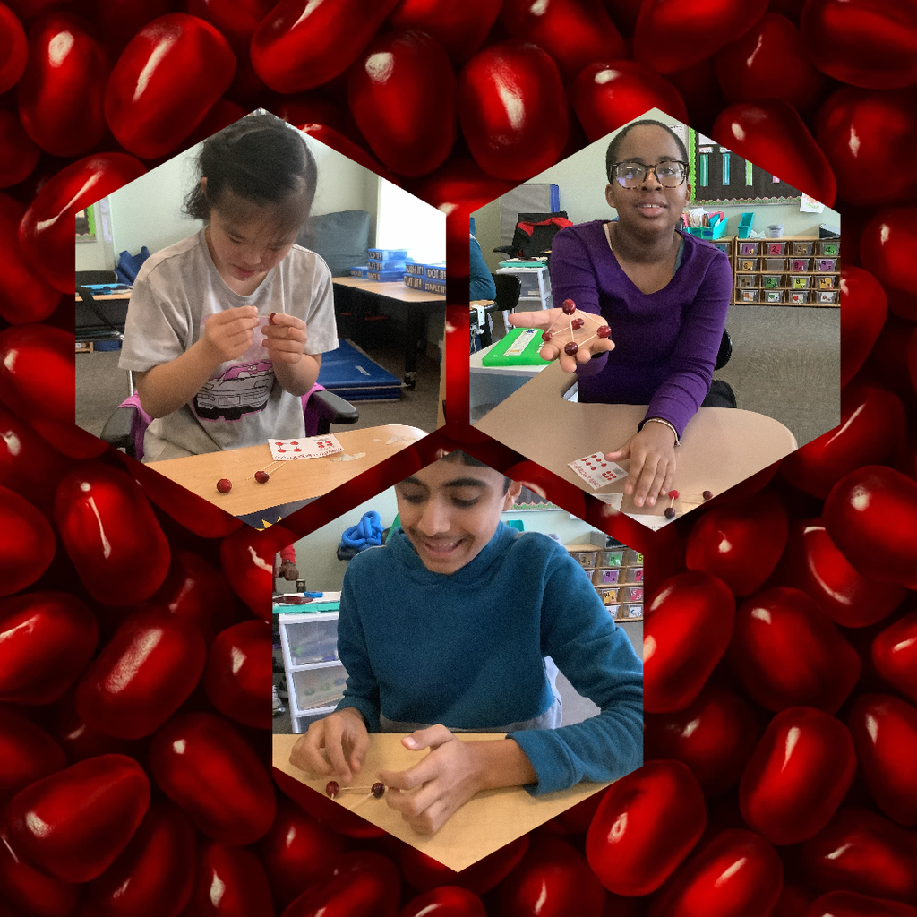 Cranberry Science Project