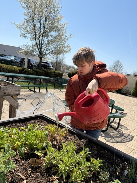 Student watering garden plants