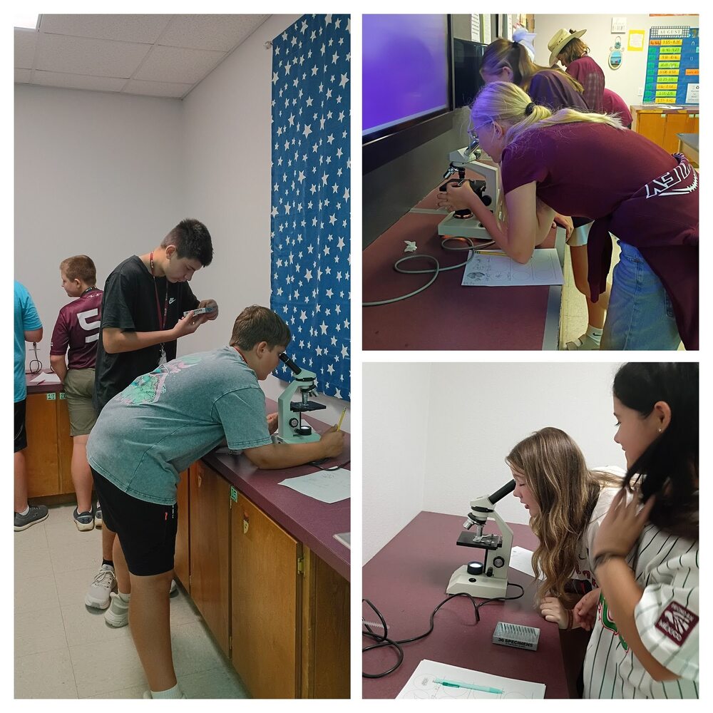 8th Grade Science