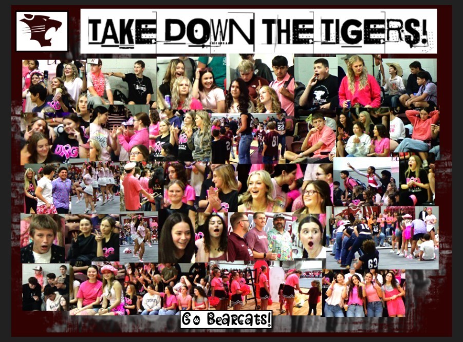 Pink Out-Beat Anson