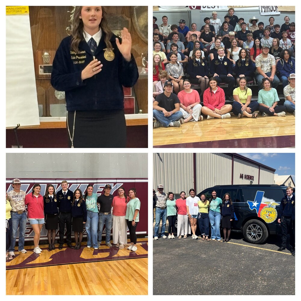 State FFA