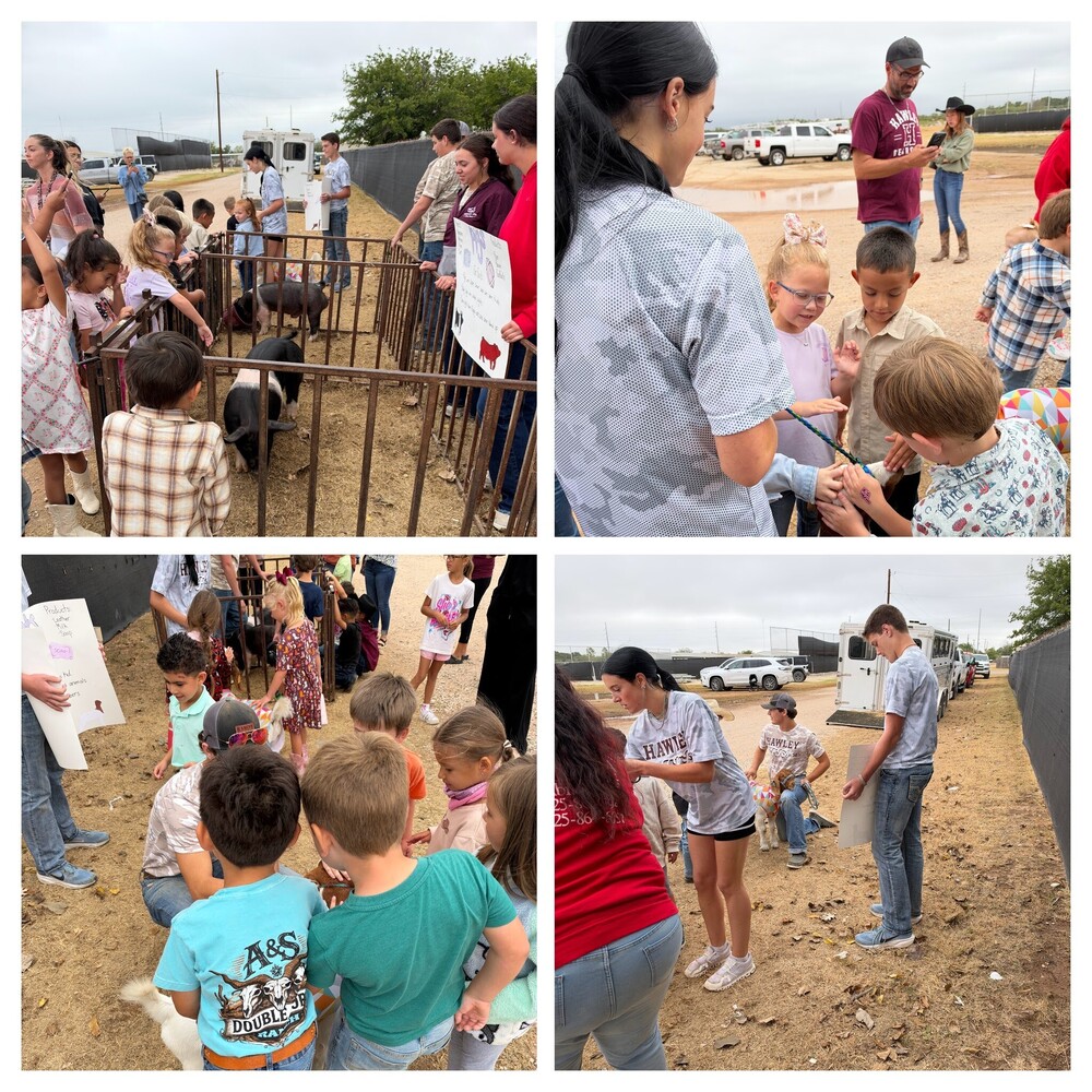 Kindergarten Rodeo