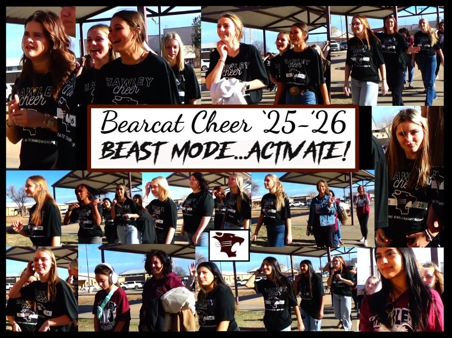 Bearcat Cheer
