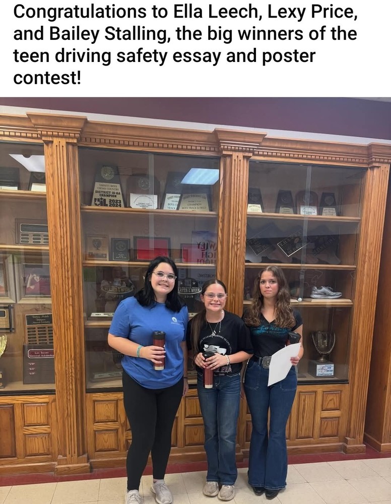 Teen Driving Essay & Poster