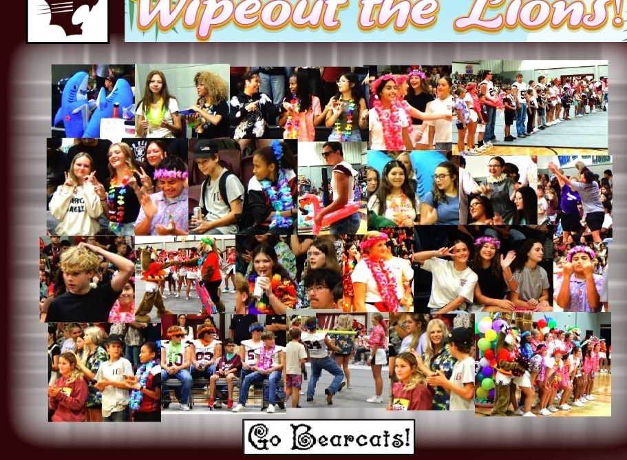 Wipe Out the Lions
