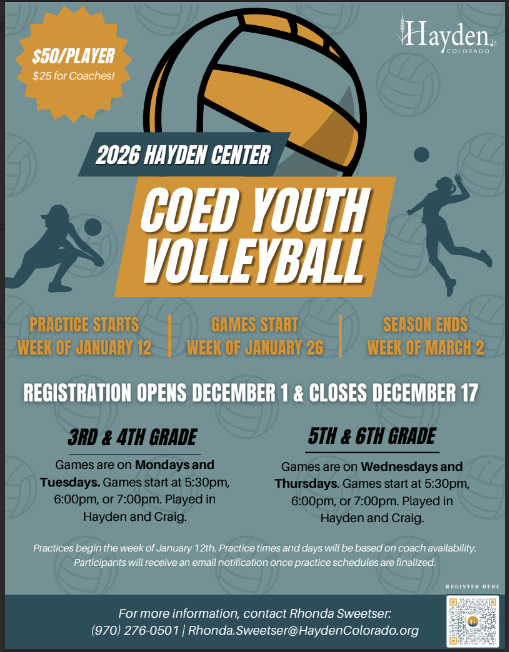 Hayden Rec Volleyball Information