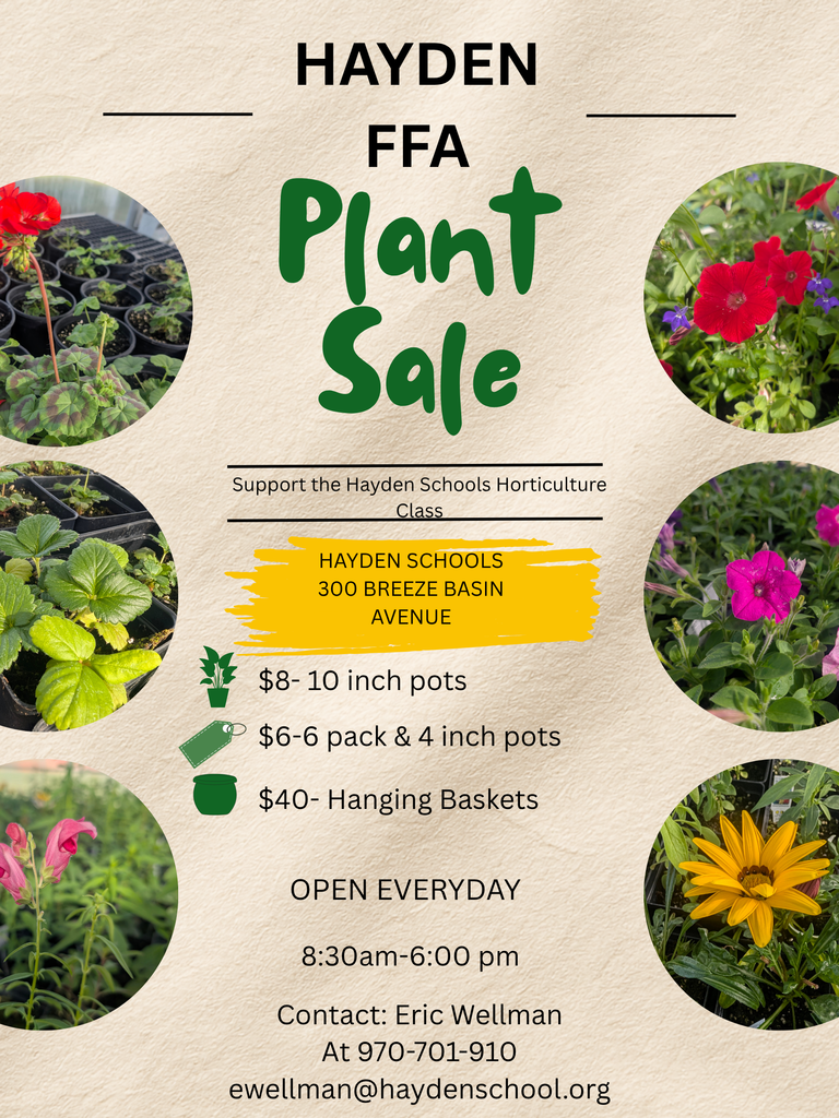 Hayden FFA Plant Sale